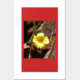 Beautiful Yellow Wildflower Posters and Art